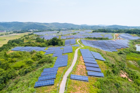 https://www.sunflowerenergiasolar.com.br/fx-files/images/small/3_plgNewsPoster.jpg